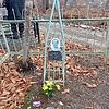 Арапов Степан Федорович