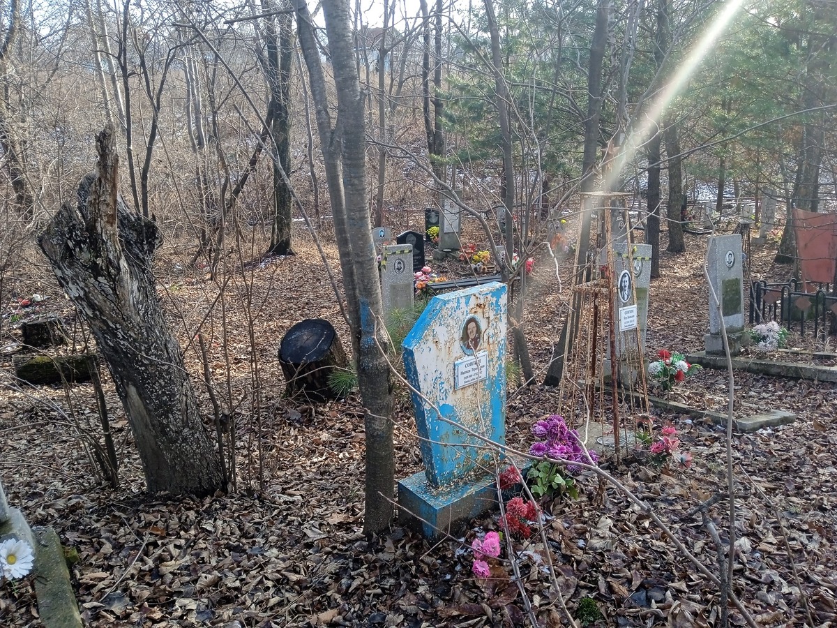 698954d1-feb0-4470-adfb-1af417e06119 Совгиря Петр Васильевич