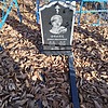 Фениц Нина Ивановна