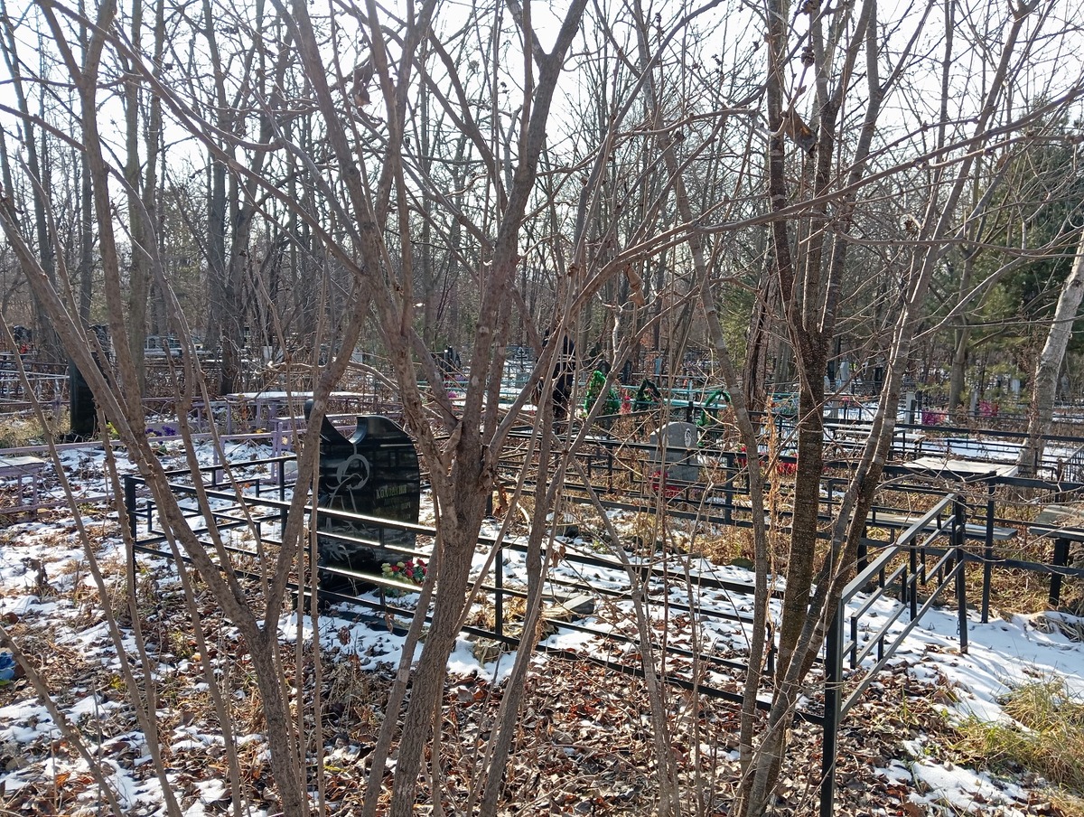 6a4e4fbb-ef88-4522-8cf3-1698d03c5f74 Колодкин Антон Вячеславович