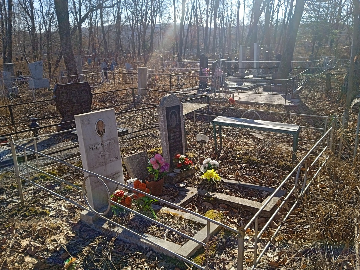 Мятенко Екатерина Васильевна