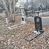Наумов Дмитрий Сергеевич
