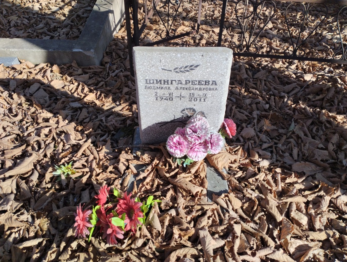 Шингареева Людмила Александровна