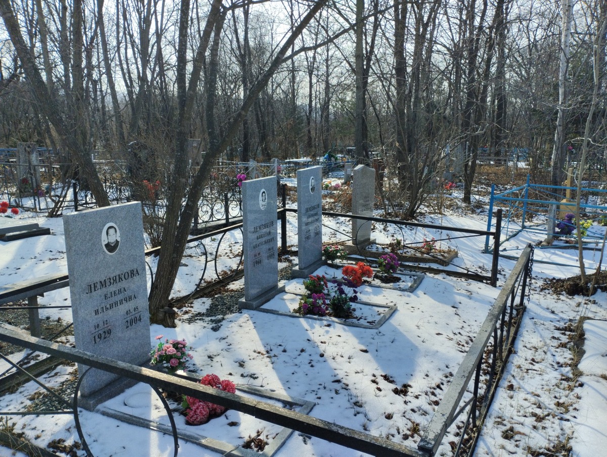 Лемзяков Николай Анатольевич