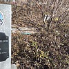 Выскребенцева Нина Григорьевна