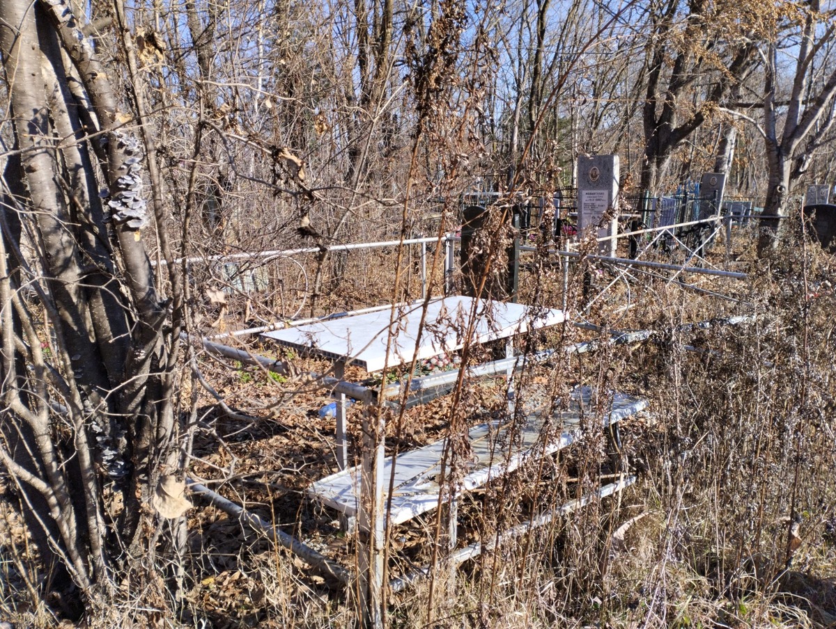 6d391b21-0e92-46f0-97a5-9c699516627b Медовщиков Владимир Константинович