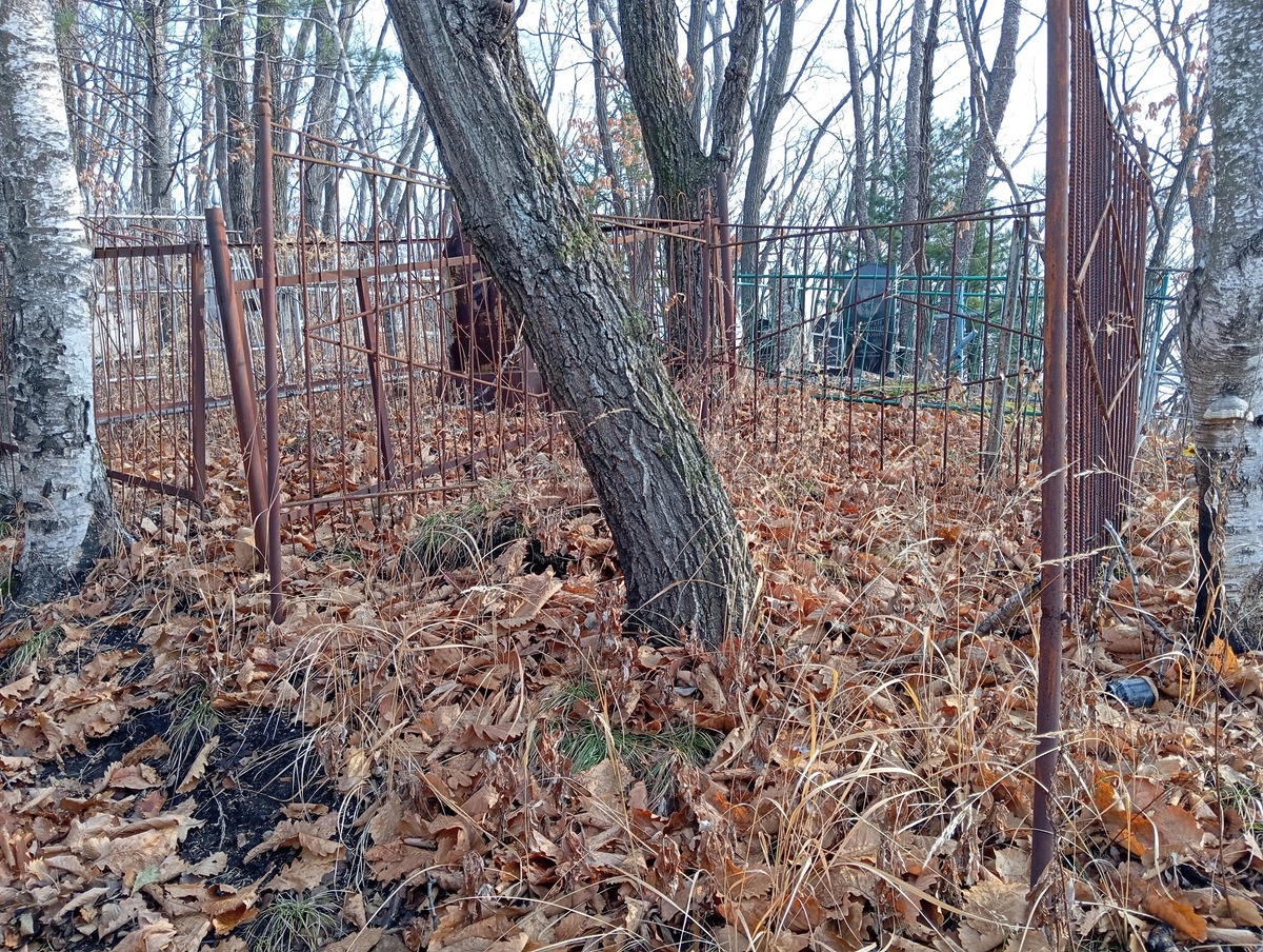 Неизвестно Неизвестно Неизвестно