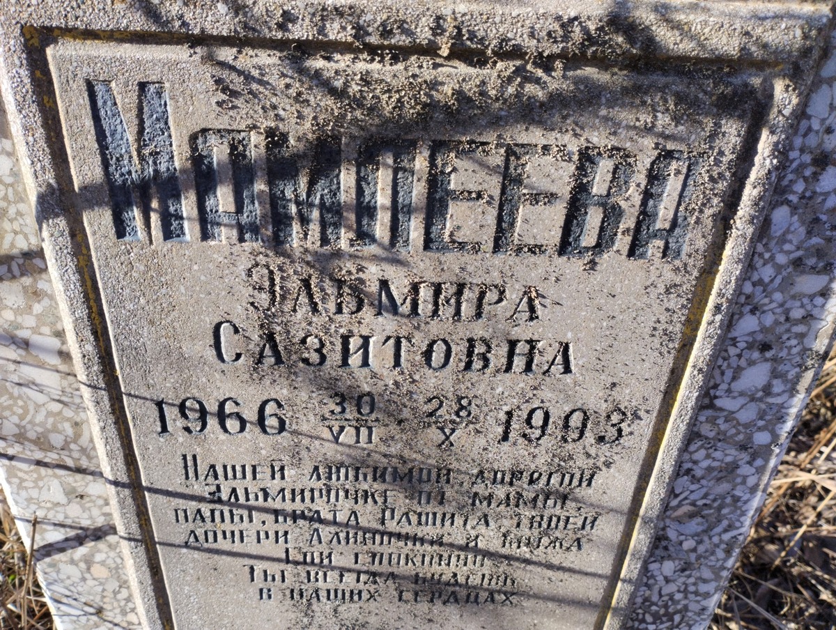 Мамлеева Ельмира Сазитовна