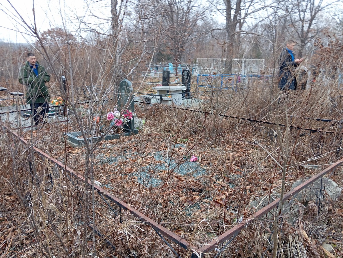 72133f03-28df-4c5f-a964-45ea782d16ed Наделяева Нина Евгеньевна