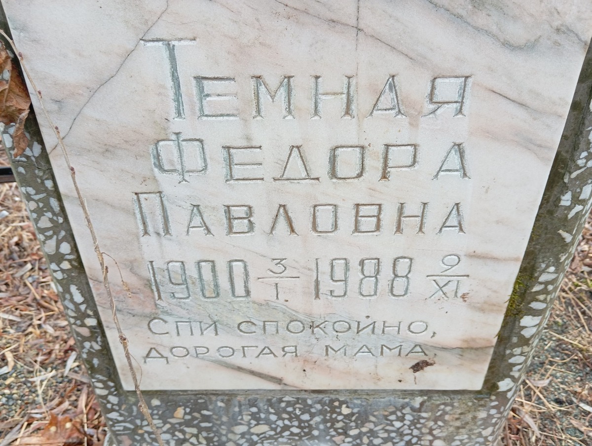 72d2bf49-cdf8-478a-849e-606940e4847b Темная Федора Павловна