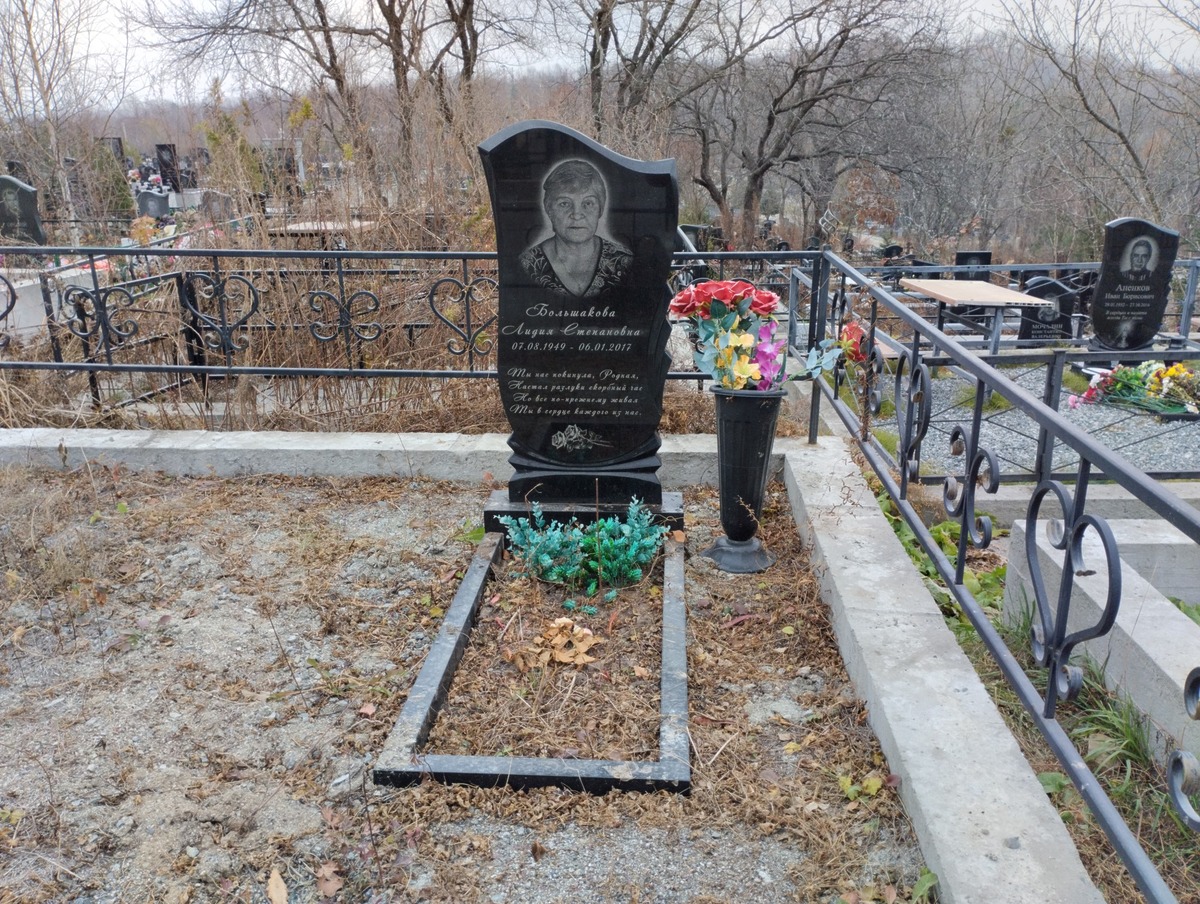 73306240-f7d8-41d3-87bc-c63cd37dc648 Большакова Лидия Степановна