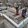 Присакарь Мария Дмитриевна