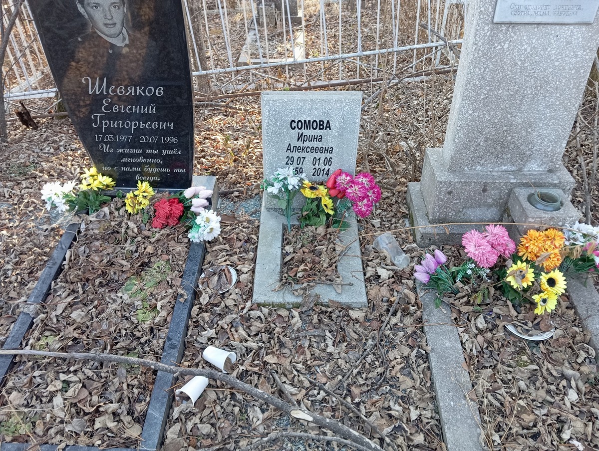 73961474-bee6-4d2b-a491-e20c937c49ea Сомова Ирина Алексеевна