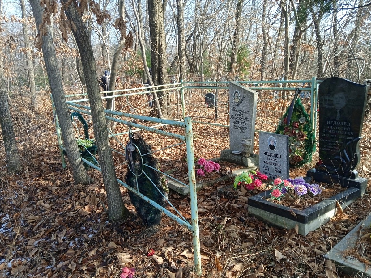 Бородулина Елена Владимировна