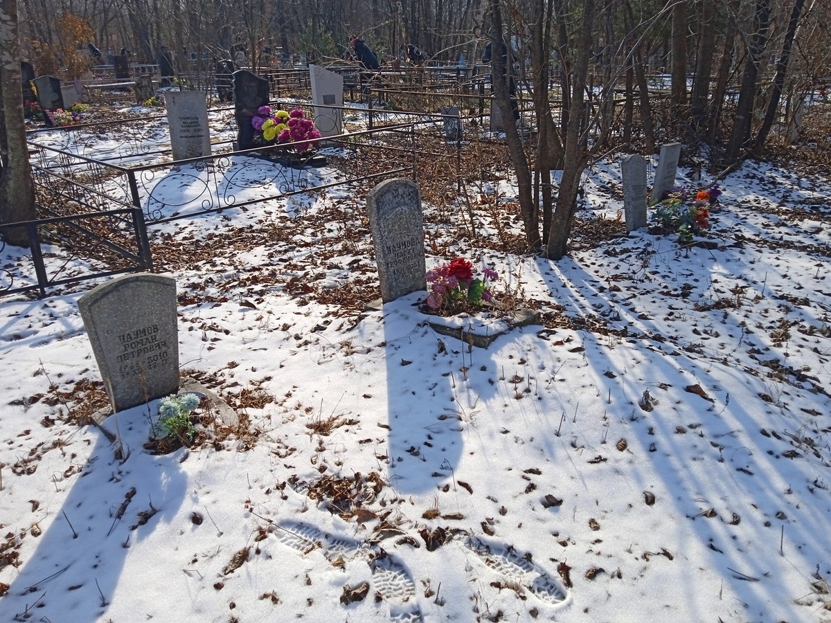 753005d5-87eb-4cad-9bd7-ae508613dfa6 Наумов Роман Петрович