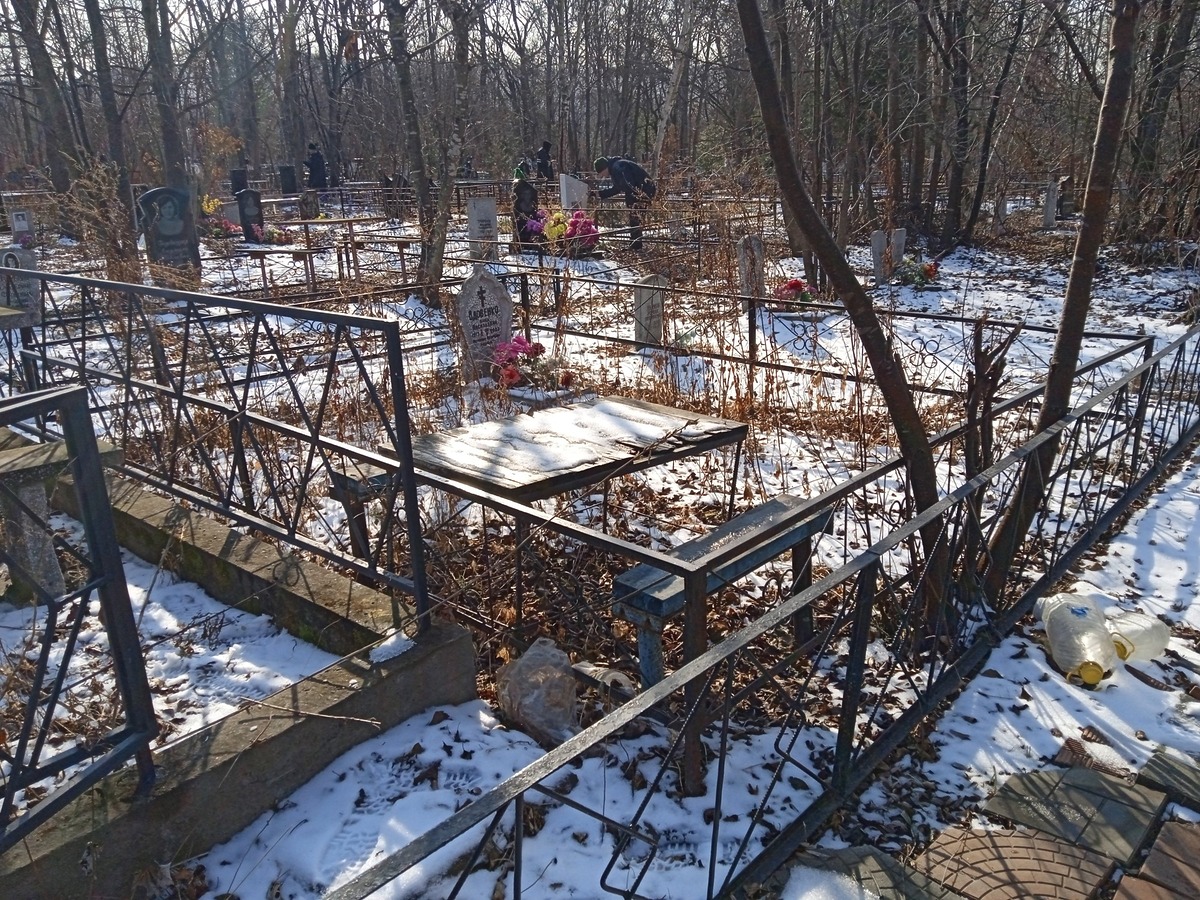 Вдовенко Анна Васильевна