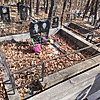 Комлев Алексей Александрович