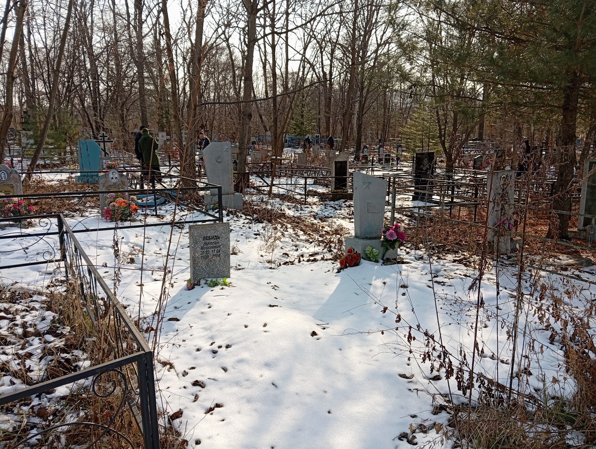 Лебидь Николай Моисеевич