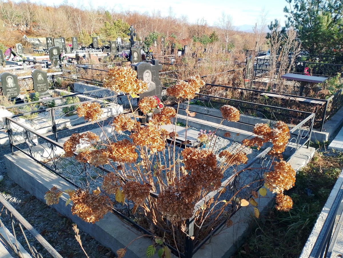 Пасечник Степан Федорович