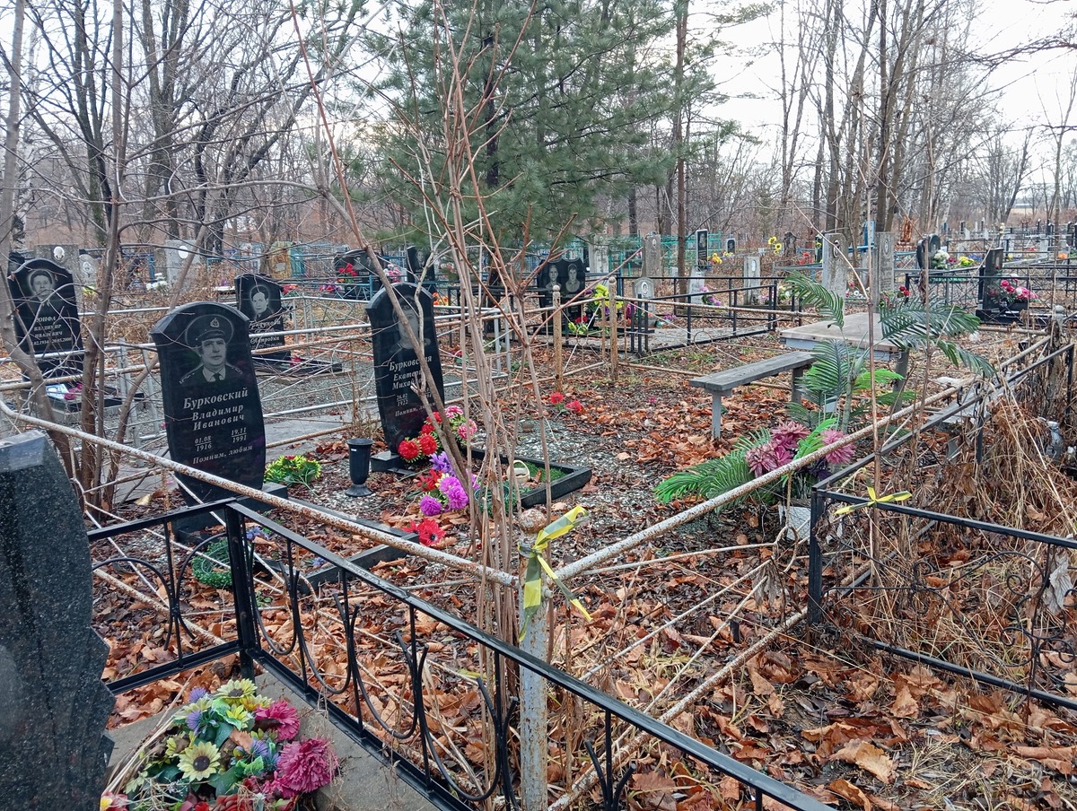76e5528b-5398-4ccb-913e-635c24879f2e Бурковская Екатерина Михайловна