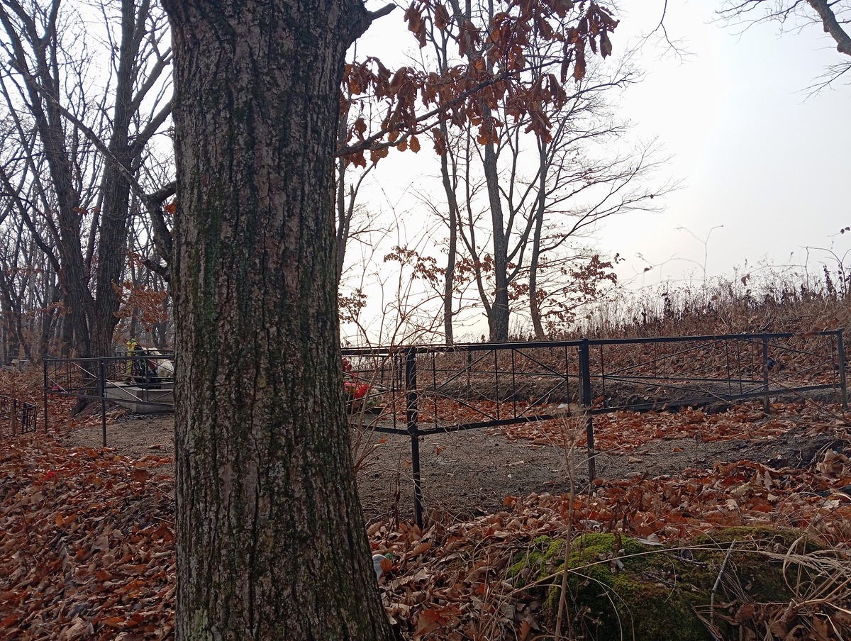 Сафин Валентин Дмитриевич