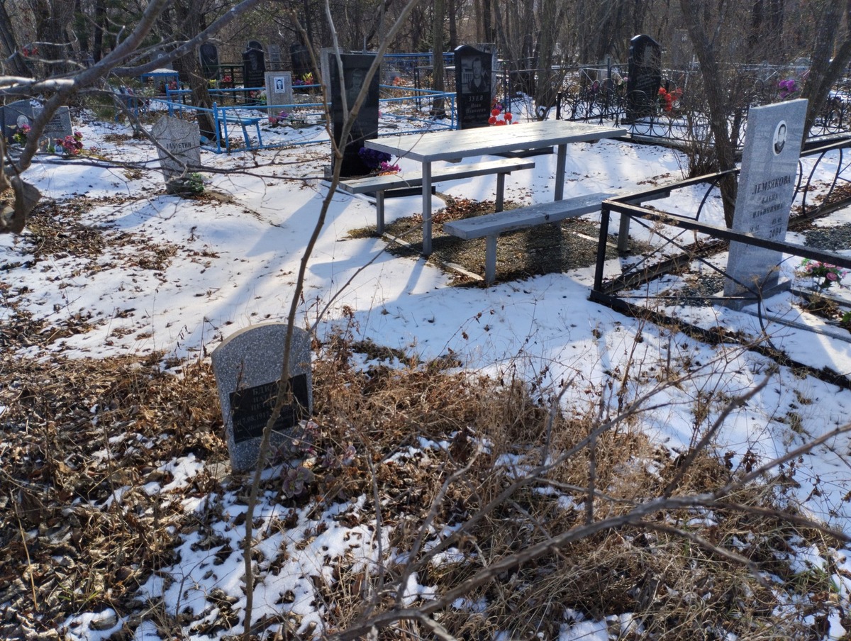 Бдюль Наталья Петровна