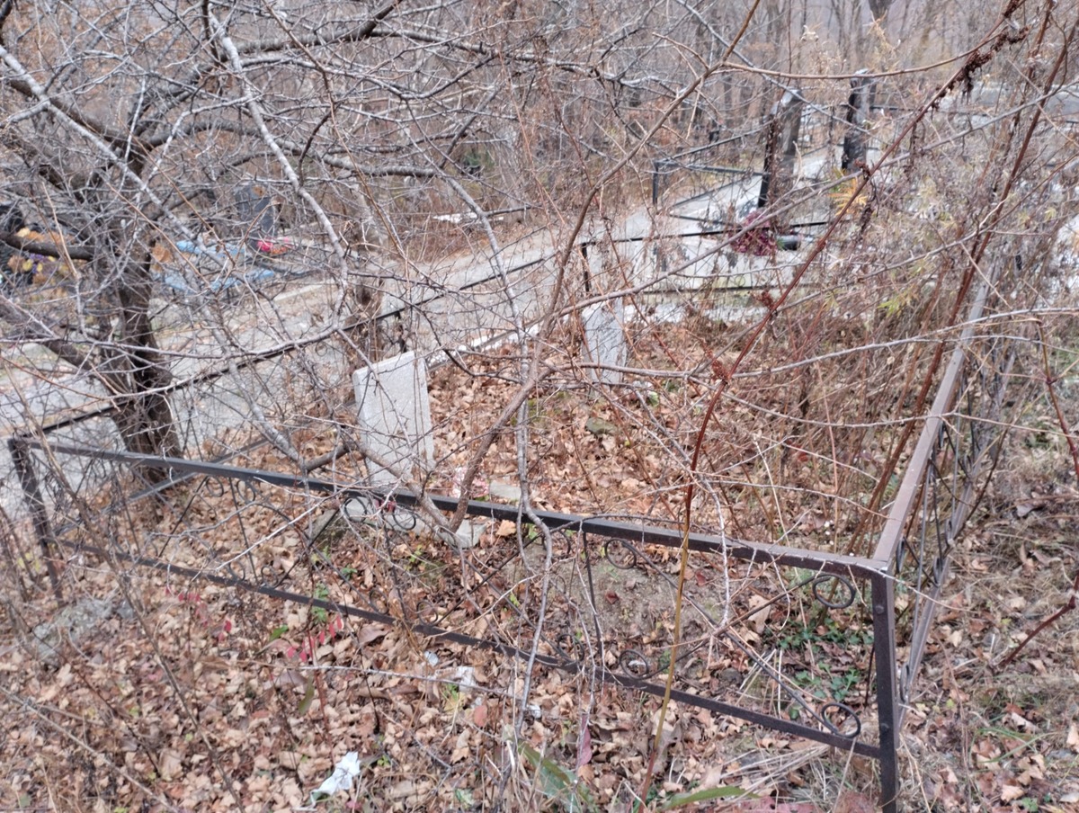 77879abb-c034-490b-b996-f58201ef0338 Горбунова Тамара Андреевна