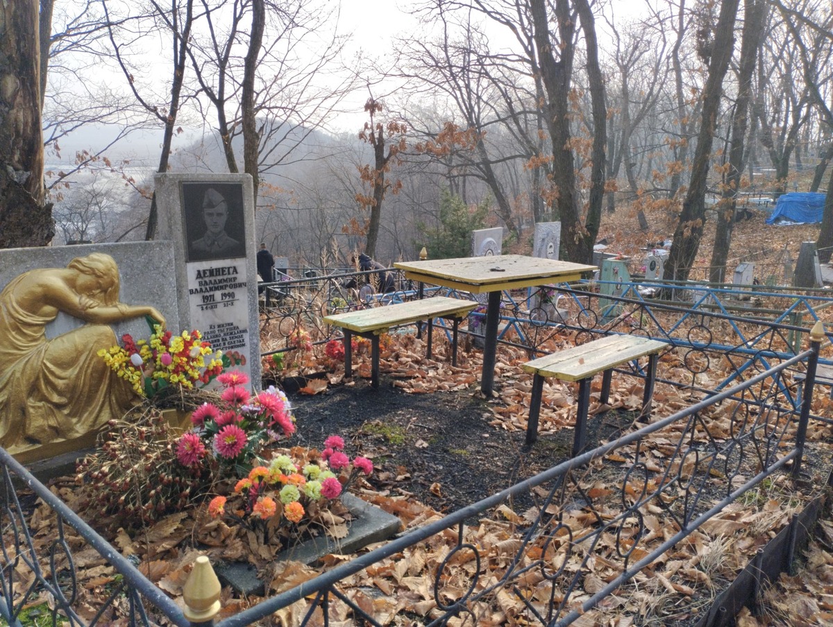 77add56a-2913-40f9-8643-3c1832d153bc Дейнега Владимир Владимирович