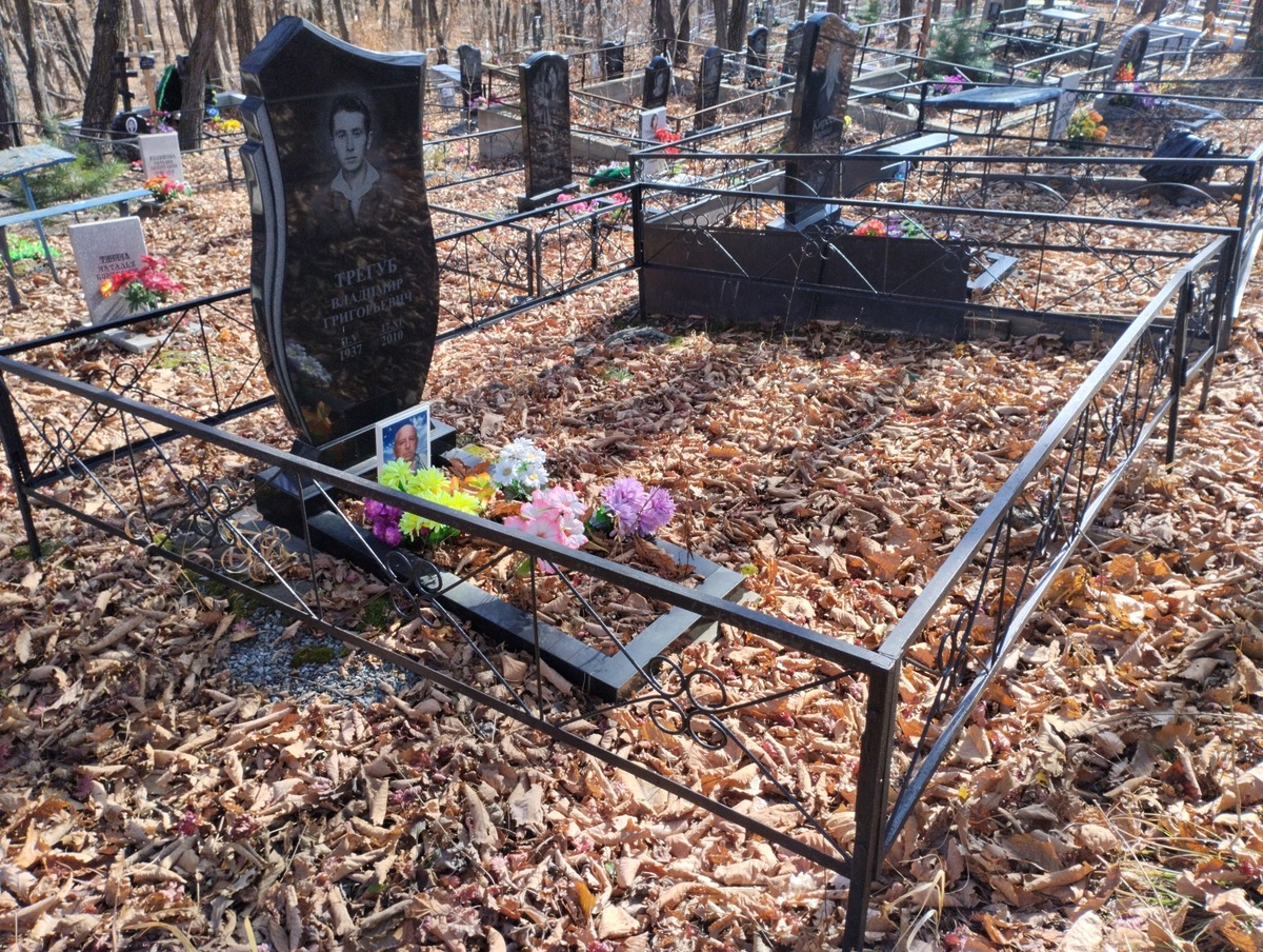 7945f64d-6828-4c60-88b8-1f27d4978239 Трегуб Владимир Григорьевич