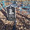 Николаев Александр Григорьевич