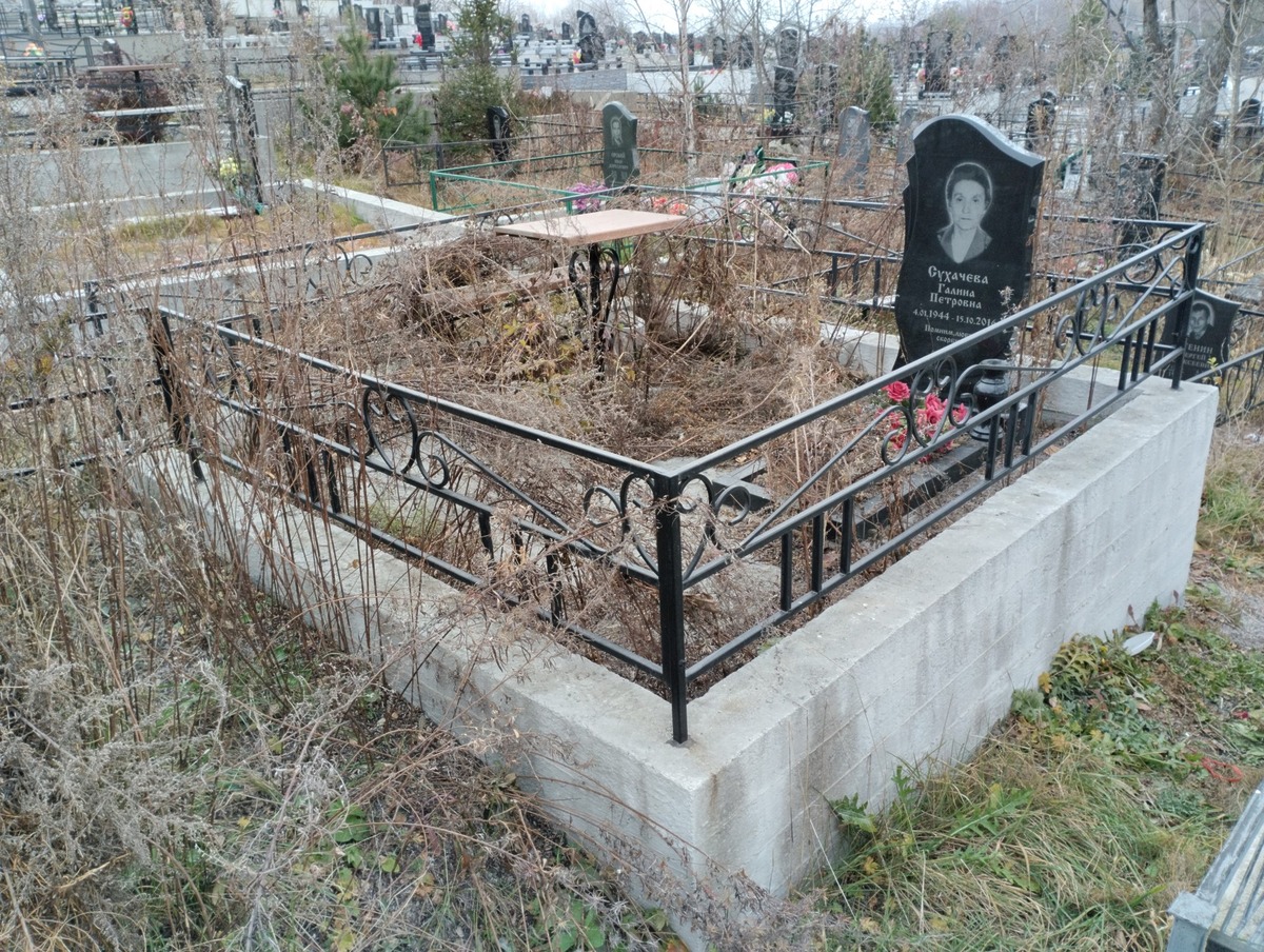 7bac04ea-d46c-453d-9033-9ccbe3b577f6 Сухачева Галина Петровна