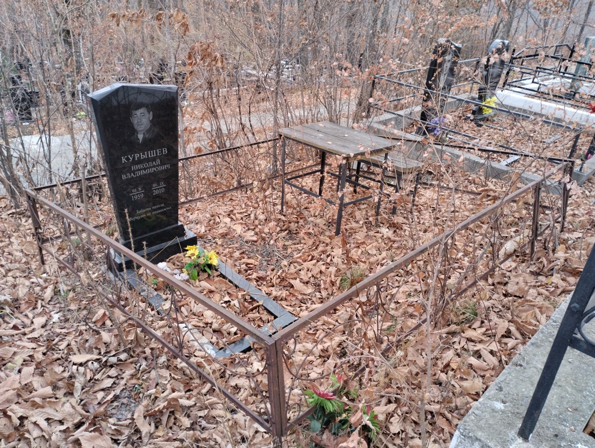 7dea1b7f-5041-404f-9eae-1ffc33719d5d Курышев Николай Владимирович