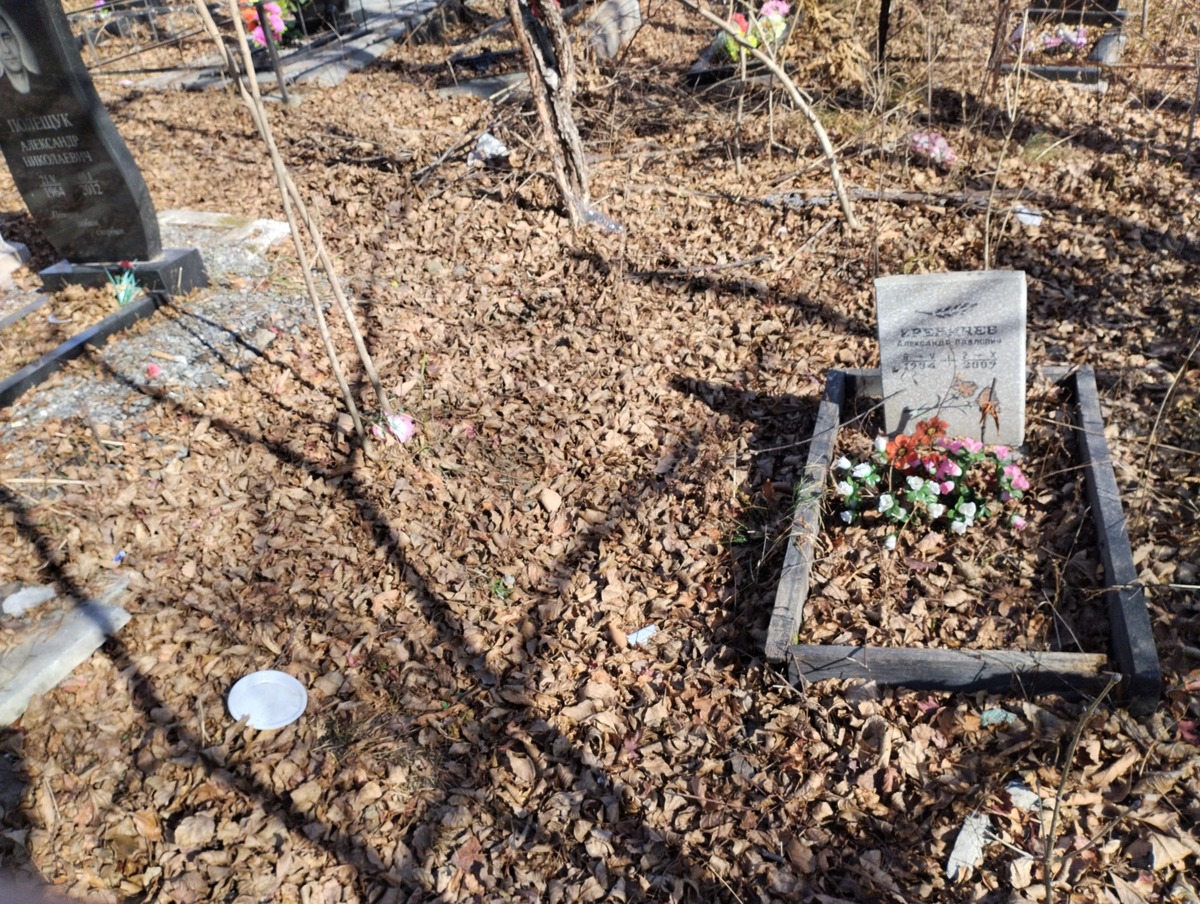 7e865dfd-8618-4d55-9504-da59e0925a1a Креничев Александр Павлович