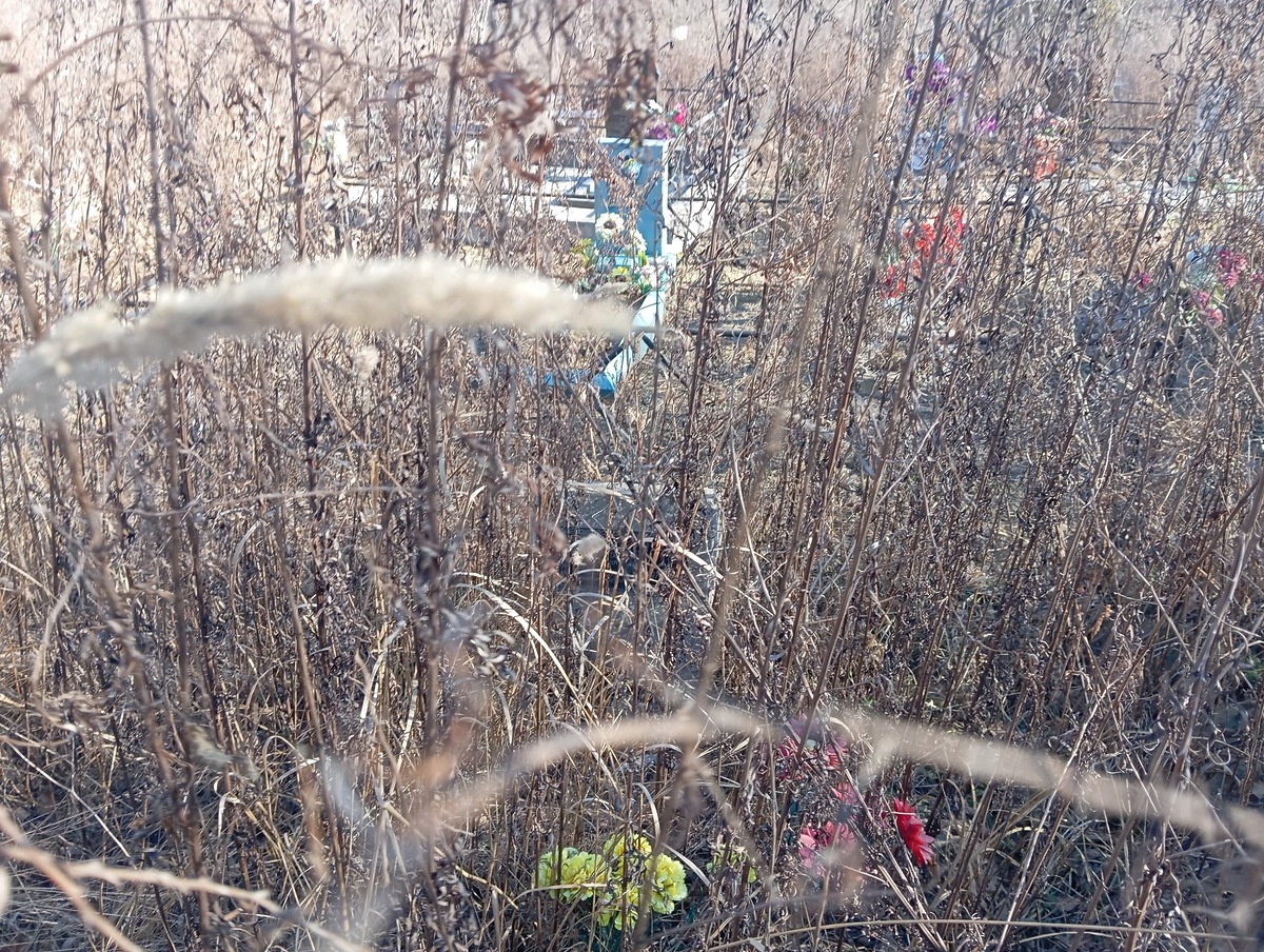 7ed68c14-55a4-439e-960e-120813b8fcd9 Маковей Леонтий Иванович