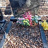 Бузина Александоа Васильевна