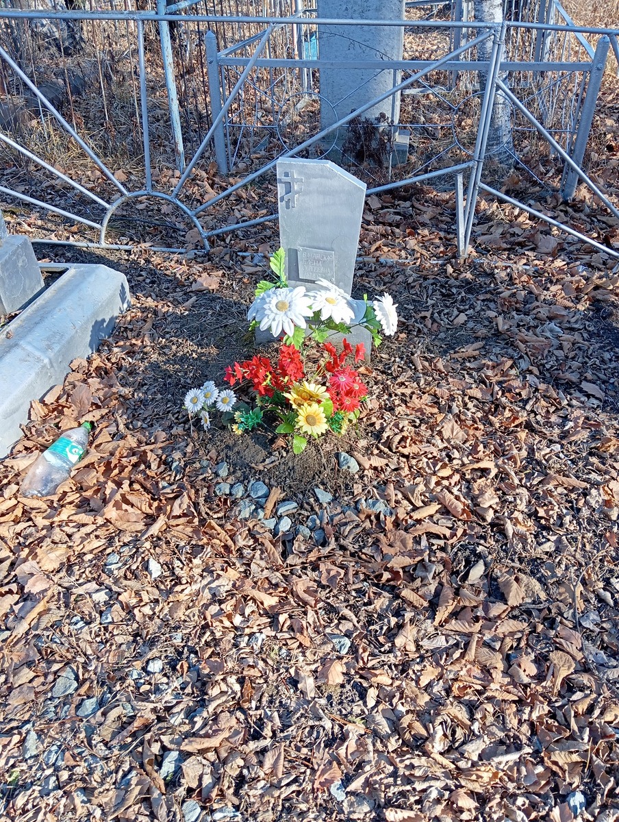 Ватанская Елена Сергеевна