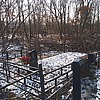 Бойко Евдокия Мифодьевна