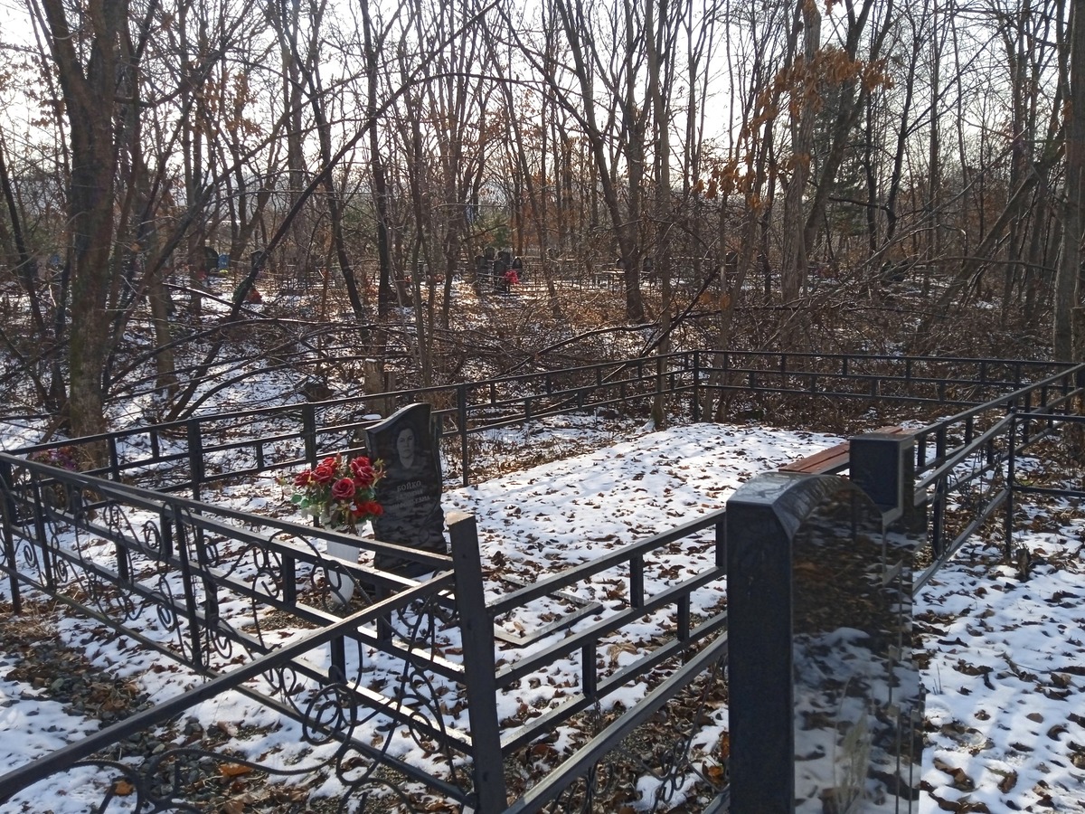 80cc5fd5-9b67-4cf8-9ea3-0153f3715558 Бойко Евдокия Мифодьевна