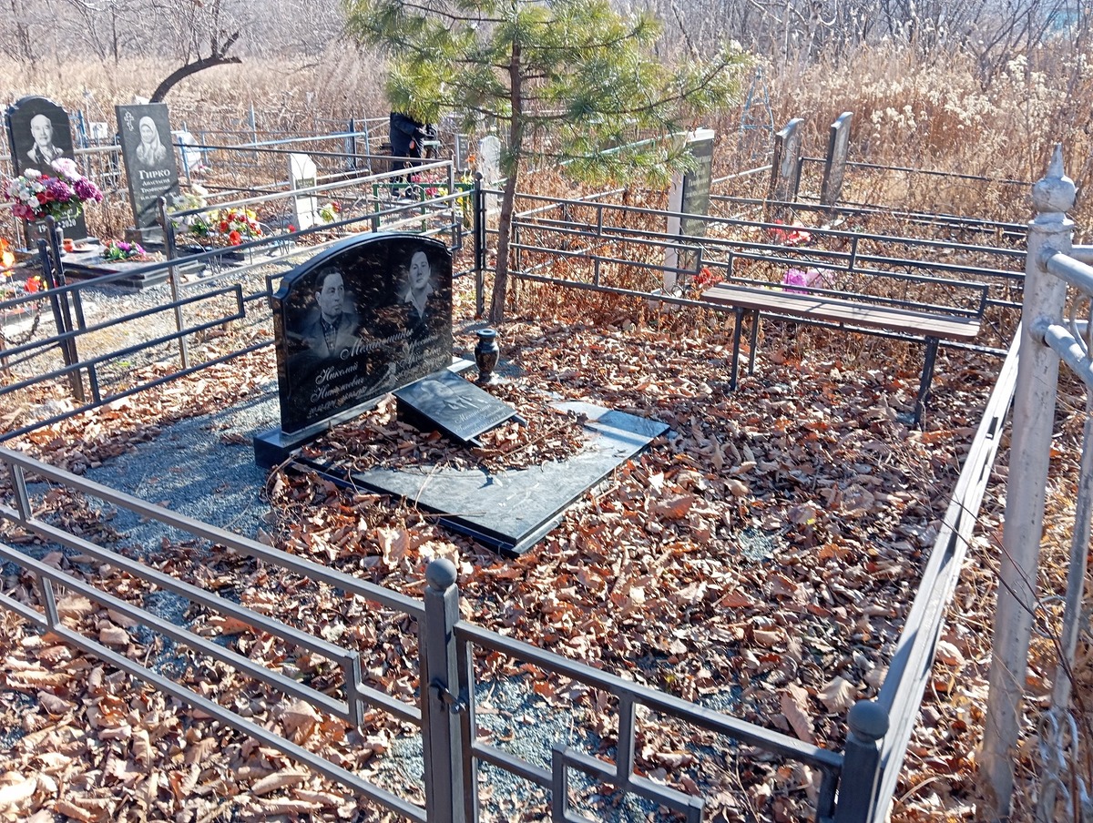 812e28e5-4e21-4456-9bbb-1300edcde46c Механошин Николай Николаевич