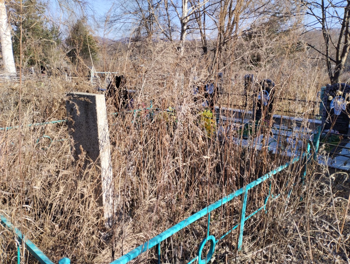 Мамлеева Ельмира Сазитовна