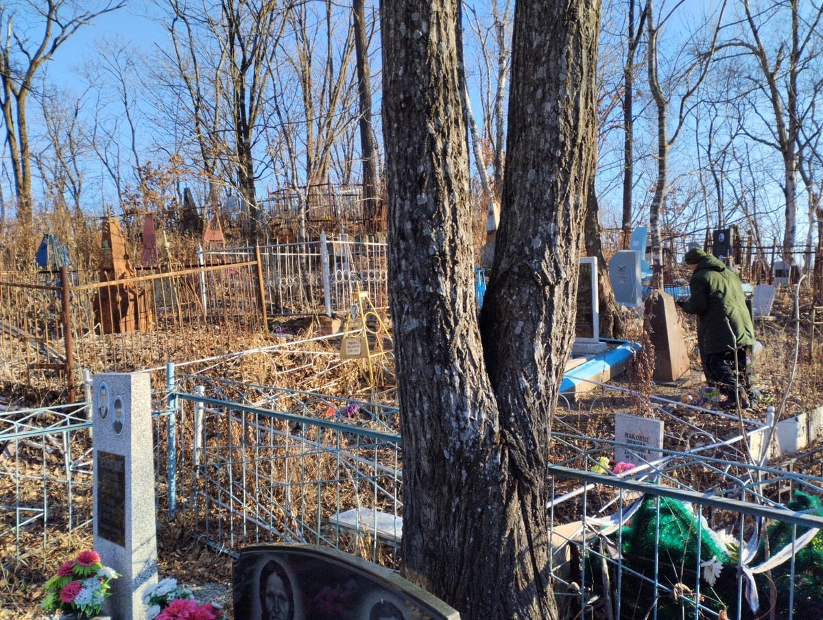 85ccce80-de32-4774-a6c8-ce43e3abab55 Маковец Полина Семеновна