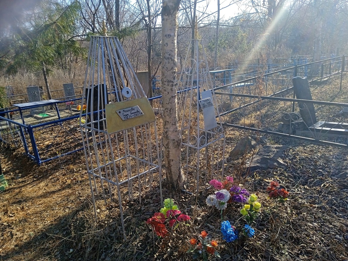 86770e31-2eb3-4ca6-8850-9b3b29d73935 Машкова Тамара Григорьевна