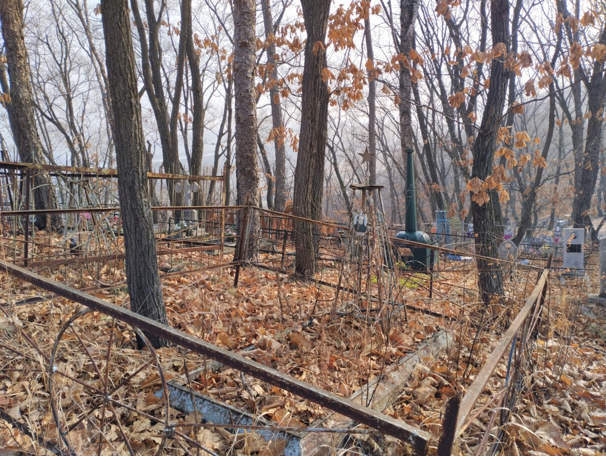 Шамин Виктор Николаевич