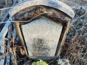 Кривцова Галина Анатольевна