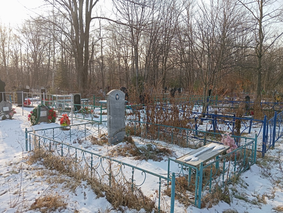 Вишняков Дмитрий Владимирович