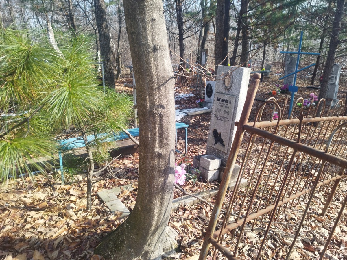 Недодел Варвара Моисеевна