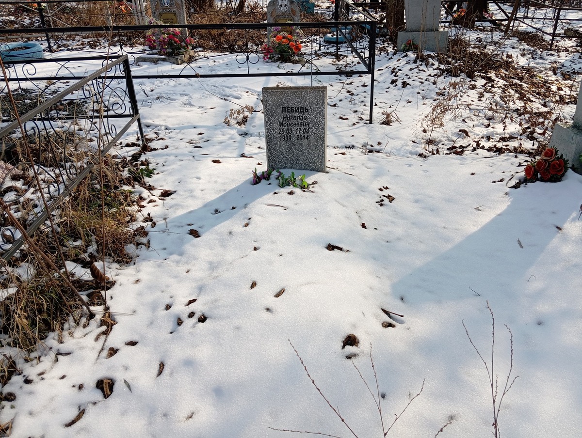 Лебидь Николай Моисеевич