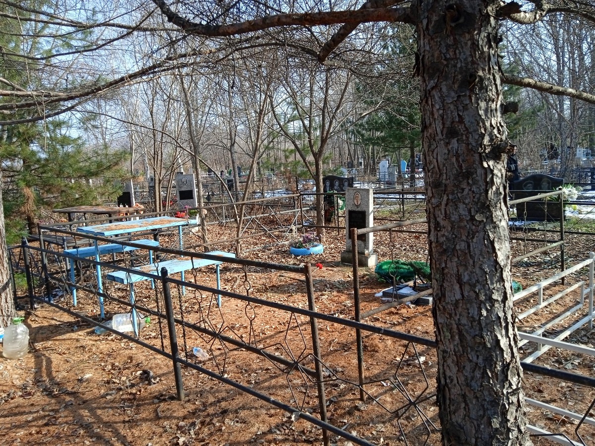 Домаев Сергей Викторович