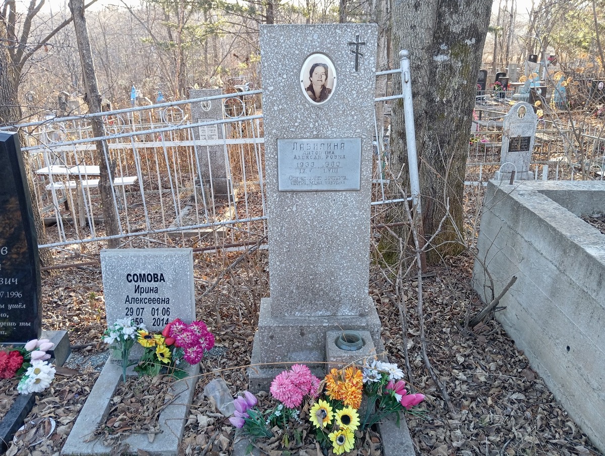 8a402f30-41e0-4661-a0bc-5d6e02c24097 Лавилина Антонина Александровна