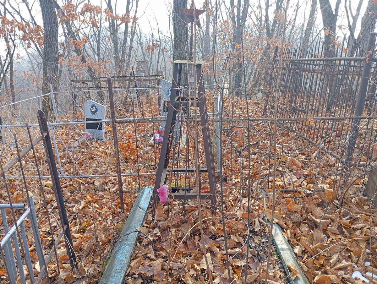 8b9336ad-b1d9-45a6-84a6-6e32a31994a8 Неизвестно Неизвестно Неизвестно